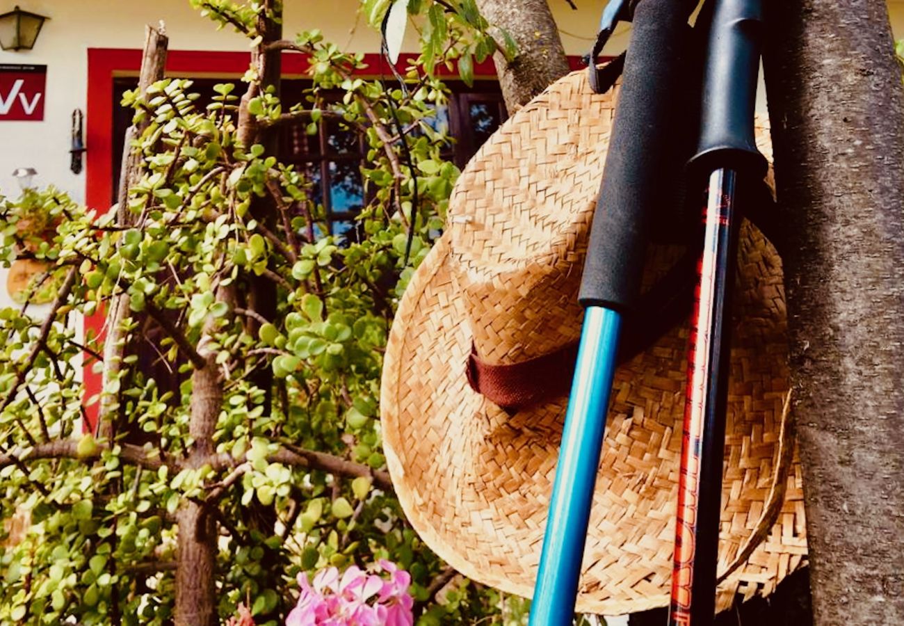 Chalet en Valsequillo - Click&Guest - Los Almendros