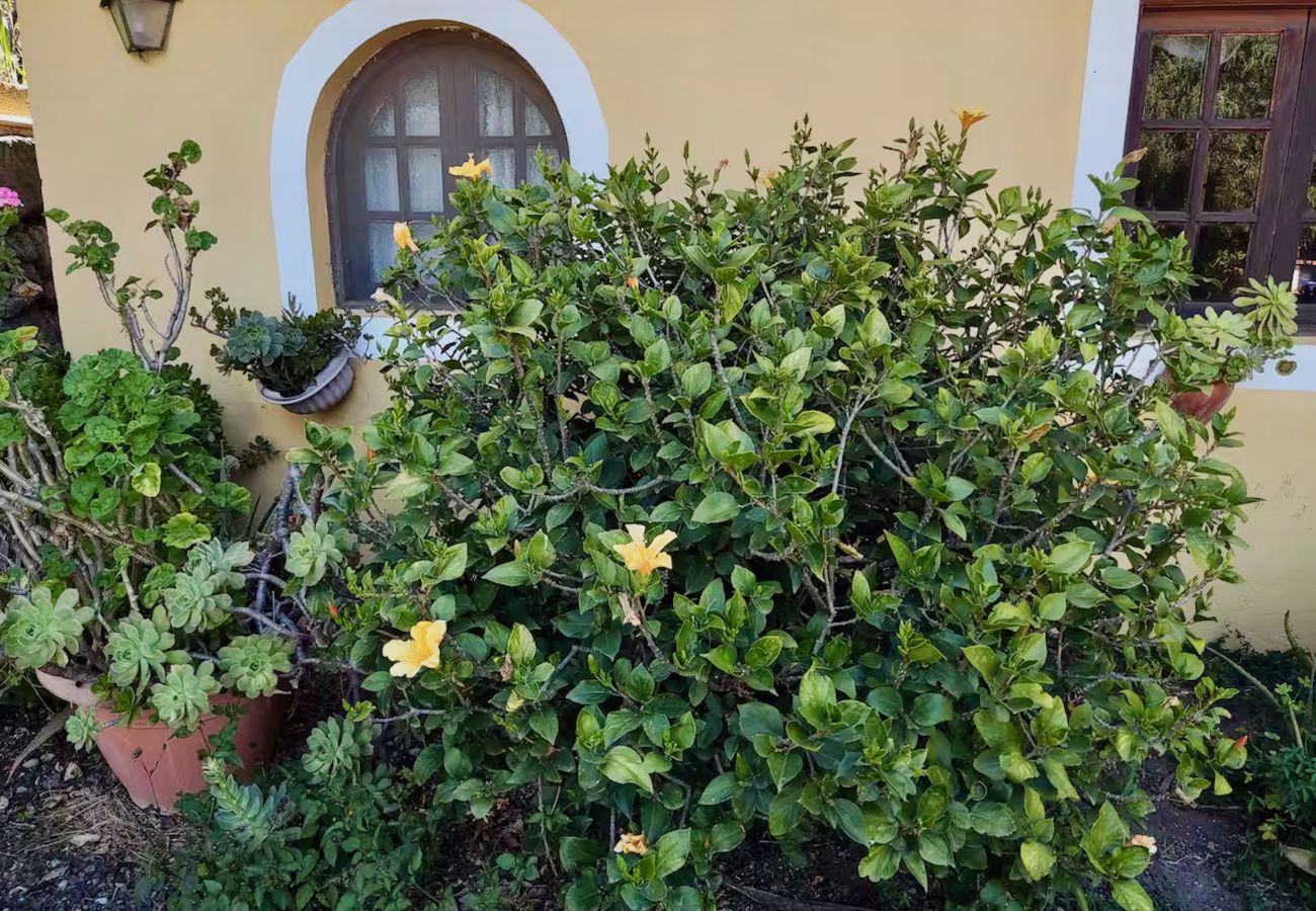 Chalet en Valsequillo - Click&Guest - Los Almendros
