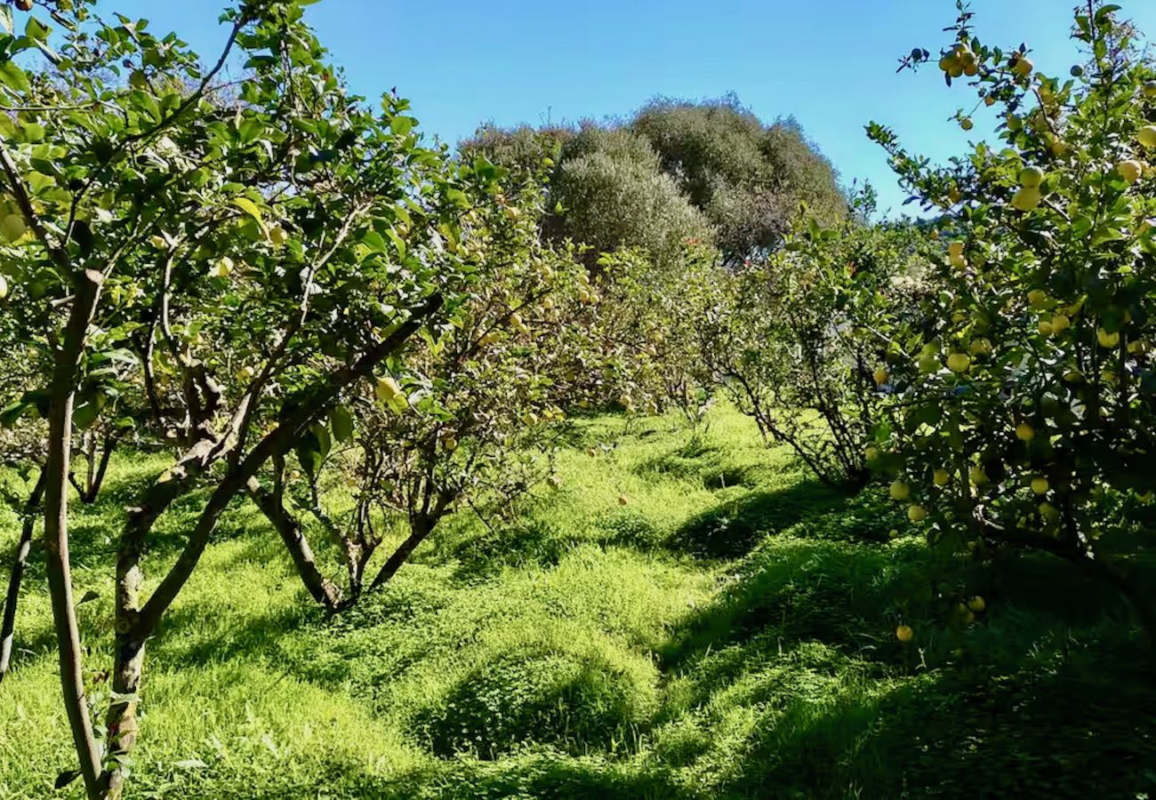 Chalet in Valsequillo - Click&Guest - Los Almendros