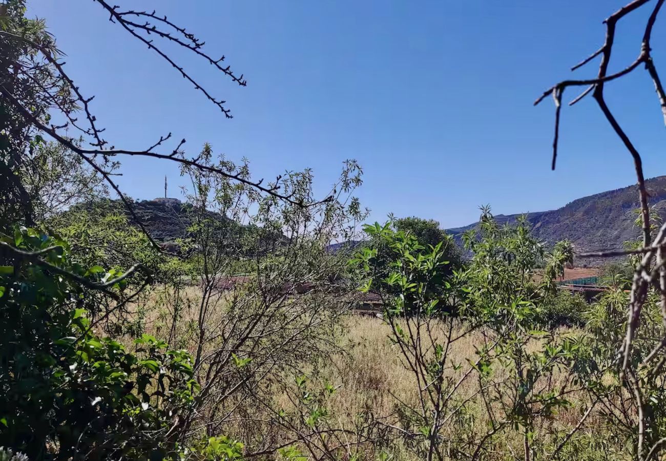Chalet in Valsequillo - Click&Guest - Los Almendros