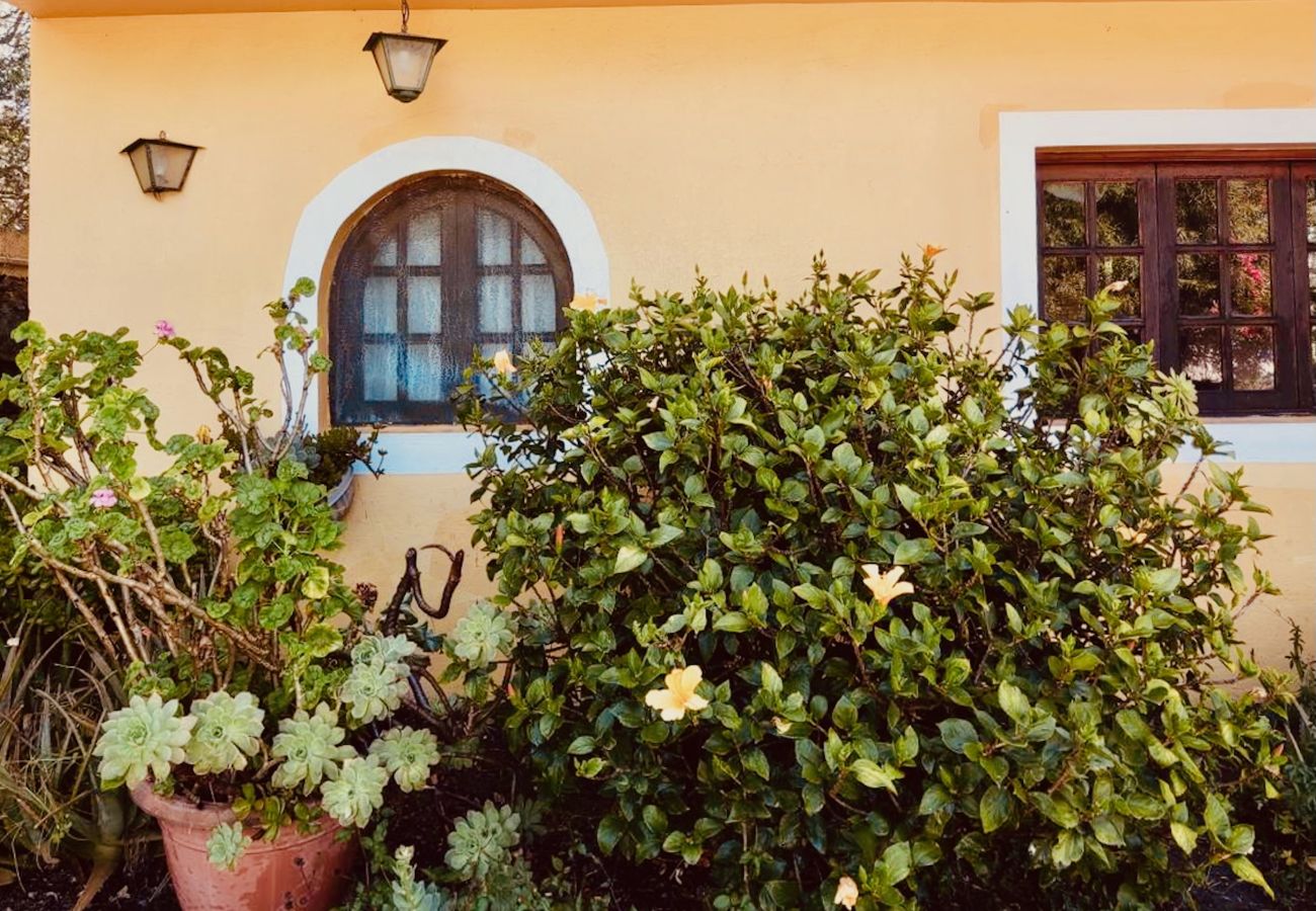 Chalet in Valsequillo - Click&Guest - Los Almendros