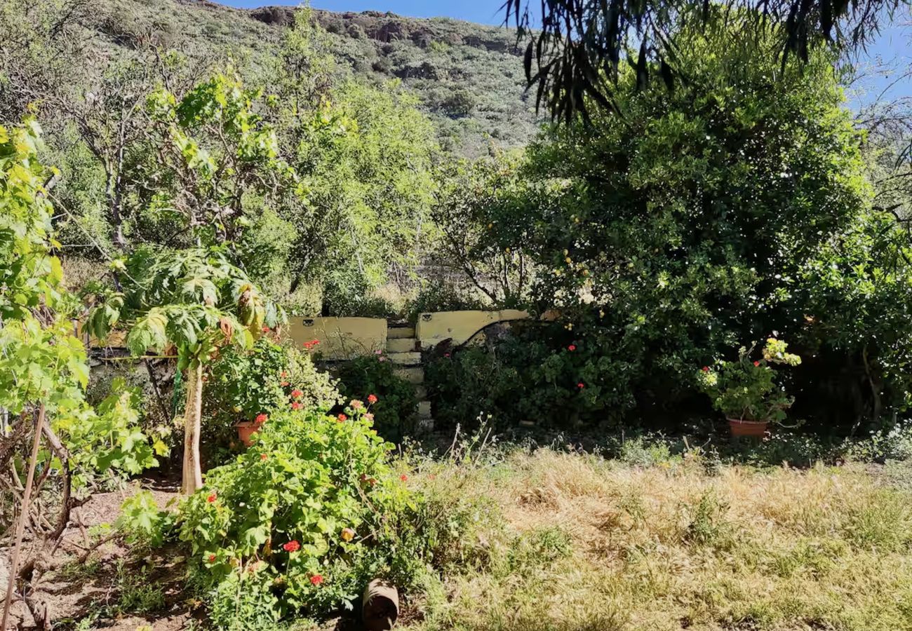 Chalet in Valsequillo - Click&Guest - Los Almendros