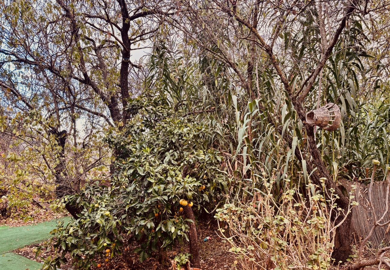 Chalet à Valsequillo - Click&Guest - Los Almendros